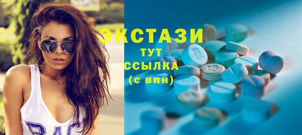ECSTASY Богородицк