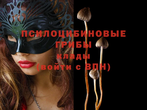 спайс Струнино